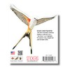 Earth Sky + Water - Scissor-Tailed Flycatcher - 3.5_ Sticker