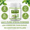 NKD Living 100% Pure Stevia Powder, Reb-A 98% (25g)