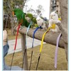 Pet Parrot Bird Harness Leash Adjustable Bird Flying Harness Traction