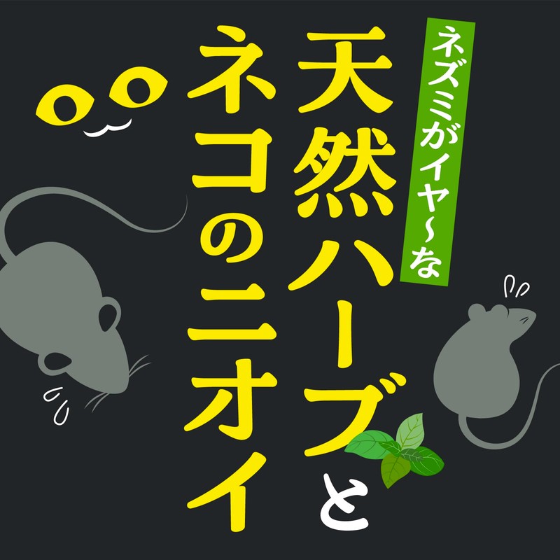 ネズミのみはり番 追い出しジェット ネズミ用忌避剤 [420mL]