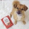 Stella & Chewy's Freeze-Dried Raw Coated Dog Biscuits Grass Fed