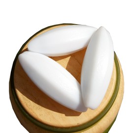 BBTC Varillas magnéticas para Mezclador (12 x 35 mm, Forma de Oliva, 10 Unidades)