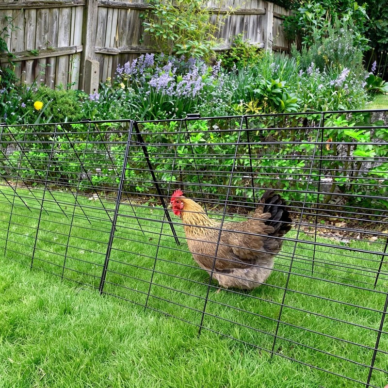 Heavy Duty Chicken Run Tunnel for Yard & Outside, Foldable