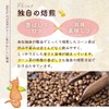 Hokkaido Corn Tea, 0.2 oz (4 g) x 40 Packs,