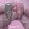 ICE GEL Powder Matte Canvas Gel 0.3 fl oz (9