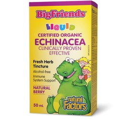 Natural Factors Big Friends KIDS Echinacea Alcohol-Free Fresh Herb Tincture Liquid 50 mL, 1000 mg of Certified Organic Echinacea in Every 1 ml, Natural Berry Flavour, Sugar Free, Proudly Canadian