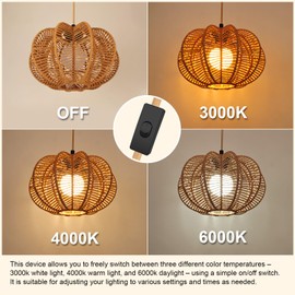 tebio Plug in Pendant Light,3 Color Bulb Rattan Hanging Lights with Plug in Cord 15FT Power Cord, Hanging Lamps That Plug into Wall Outlet for Boho Living Room（Bulb Included）
