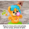 Fisher-Price Baby Learning Toy Link Squad Opposites Fox with Music