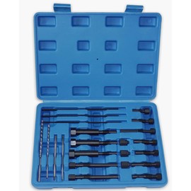 RIODEMBO 22PCS Glow Plug Removal Tool Kit, Glow Plug Extraction Kit, Glow Plug Electrodes Removing Tool for M8x1.0, M10x1.0, M10x1.25 Glow Plug