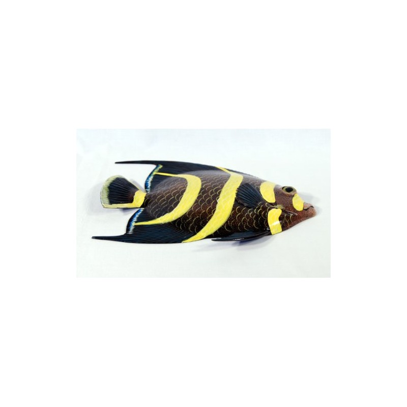 LX Handpainted Tropical Fish Replica Wall Mount Decor Plaque Black