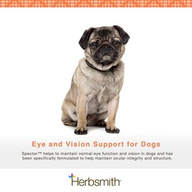 Herbsmith Herbsmith Spector - Eye and Vision Support for Dogs - Repair Greying to The Eyes - Senior Supplement for Dogs - Antioxidant for Dogs - 60ct Small Chews