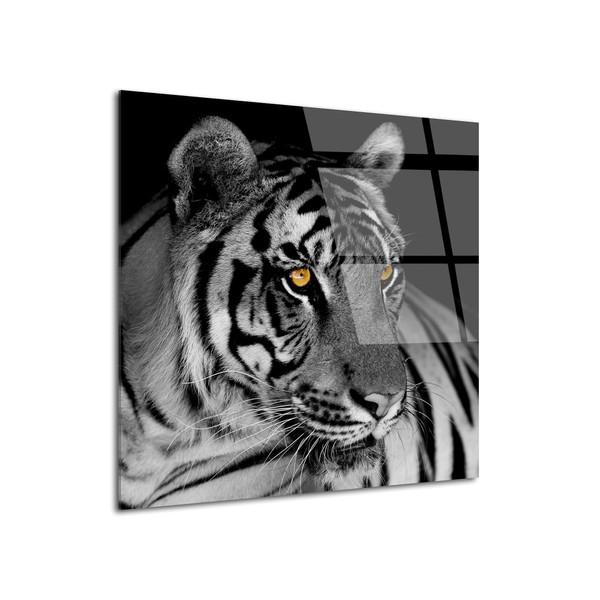 DECLINA Tableau Verre Acrylique Photo Le Tigre Blanc, Tableau plexiglass, décoration Murale plexi, Tableau Verre Acrylique, 50x50 cm