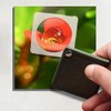OC1093 Portable Pocket Folding Hyodo 55mm 10x Magnifier Square Magnifier 1.Main product (OC1093) 4ea