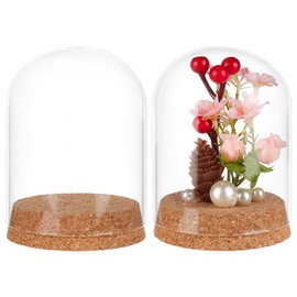 BENECREAT 2 Pcs Glass Display Cloche, 3x4.1 inches Bell Jar Dome with Cork Base, Display Dome Glass for Flower, Plant, Miniature and Craft, Home Decoration, ID: 3 inches