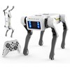 【Akeleo】Robot dog, AI smart pet, can dance and do Kung