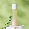 Aperire Miracle Day Root Essence tónico coreano 150 ml, firmeza