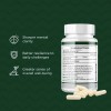 Probase Nutrition Suplemento Nr Nad 500 Mg 30 Cápsulas