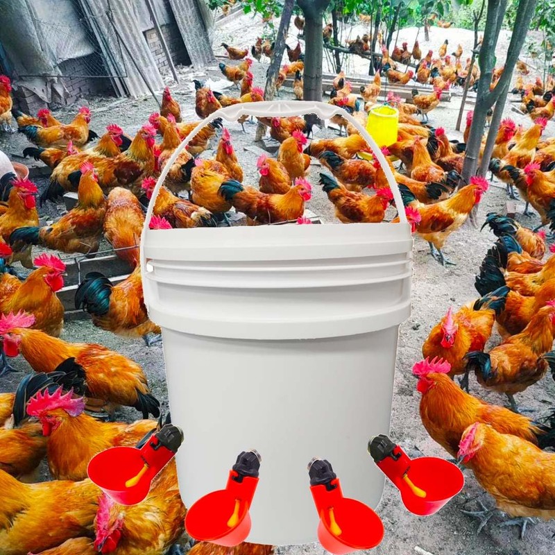 YSIL Chicken Waterer Cups Automatic Feeder 6 Pack with 1/8"