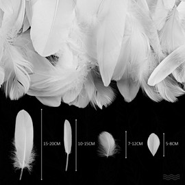 Pack of 300 White Feathers for Crafts, Natural Goose Feathers, Craft Feathers, Decorations for Dream Catchers, Crafts, Wedding, Party, Decoration, Tree Ornament, Craft, Jewellery, DIY Dresses