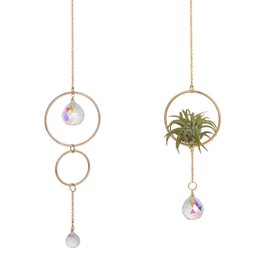 OLYCRAFT 2Pcs 2 Styles Gold Air Plant Hanger with Glass Ball Pendant Metal Round Hanging Planter Plant Hanger Display Frame Plants Display Racks for Air Plant Home Office Desk Decor