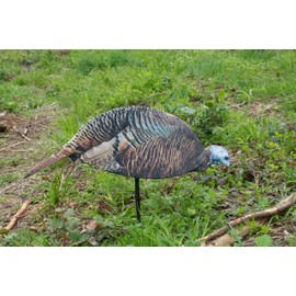 MONTANA DECOY Dinner Belle Hen Decoy, Model:0043 , Black