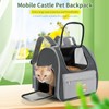 Pet Carrier Backpack with Bubble Window, Astronaut Design, Mint Grey
