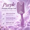 Hollow-Out Fine-Tooth Detangling and Volumizing Hair Comb for Real Hair