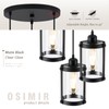 Osimir 3-Light Pendant Lighting, Black Dining Room Chandelier Light Fixture