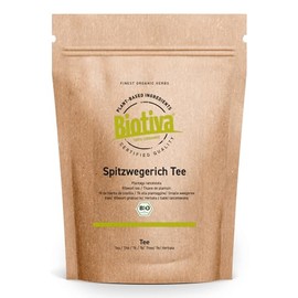 Biotiva Plantain Tea Organic 250 g - Plantago lanceolata - Spit Herb, Lung Leaf - No Additives - Vegan - 100% Organic Quality - Bottled and Controlled in Germany