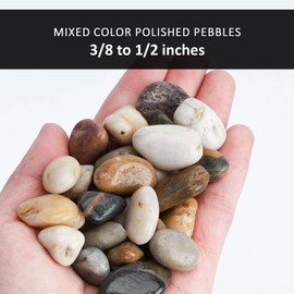 DomeStar 1Lb Pebbles for Indoor Plants, Natural Decorative River Rocks Gravel Small Pebble Stones for Potted Plants Garden Home Decor