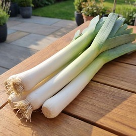 Leek Seeds – Porro D’Elbeuf – Long White Stems – Early & Hardy Variety – High Yield Italian Type