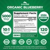 Zazzee USDA Organic Blueberry 10:1 Extract, 5000 mg Strength, 120