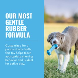 KONG Puppy Goodie Bone - Stuffable Toy for Small Puppy - Natural Rubber Chew for Puppies - Toy for Teething - for Small Puppies - Blue