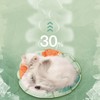 Pet Cooling Mat Waterproof Tear Resistant Thickened Soft Round Cat