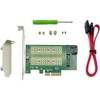 Genjin-oriented Interface M.2 NVMe SSD & M.2 SATA SSD Dual
