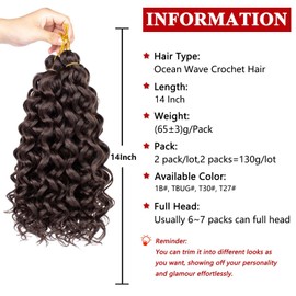 Ocean Wave Crochet Hair 2packs Boho Style Hawaii Curly Dark Brown Crochet Braids Beach Curl Synthetic Braiding Hair for Black Women Extensions (14 Inch, 4)
