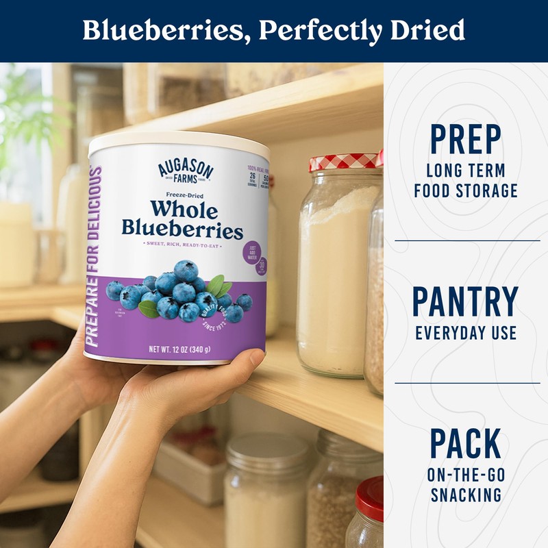 Augason Farms Dried Whole Blueberries Can – Dried Fruit for