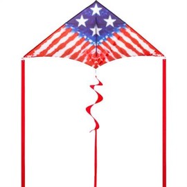 HQ Kites and Designs Delta Freedom Flyer 2M