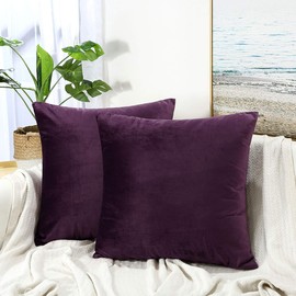 JUSPURBET Decorative Velvet Throw Pillow Covers for Sofa Couch Bed,Pack of 2 Luxury Soft Cushion Cases,16x16 Inches,Eggplant Purple