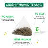 Teabox Premium Darjeeling Green Tea Sampler Bags 100pcs (10pcs X