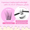 CALAILIS Lash Clusters DIY Eyelash Extensions 276pcs Oversized Packaging Natural