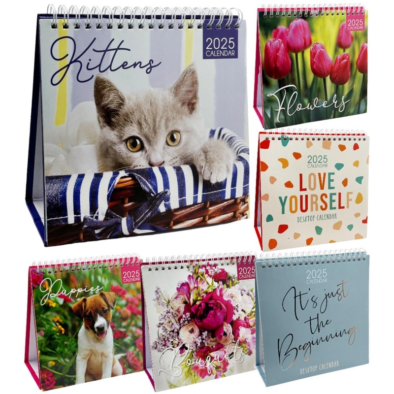 PaulStore 2025 Desk Top Calendar Month to View Flip Over