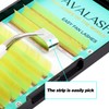 VAVALASH Colored Easy Fan Eyelash Extensions 0.07 C Curl 8-15mm