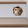 Owl Hole Wall Decal – 3D Forest Bird Sticker –