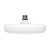 HPM 19W LED Warm White T Shape B22 Globe