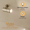 Simba Lighting Halogen GU10 35W Spotlight 120V MR16 with Glass