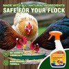 Chicken Coop Deodorizer & Cleaner – Natural Odor Eliminator &