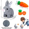 Sunshine smile Bouncing Rabbit, Talking Rabbit, Rabbit Cuddly Toy, Small,