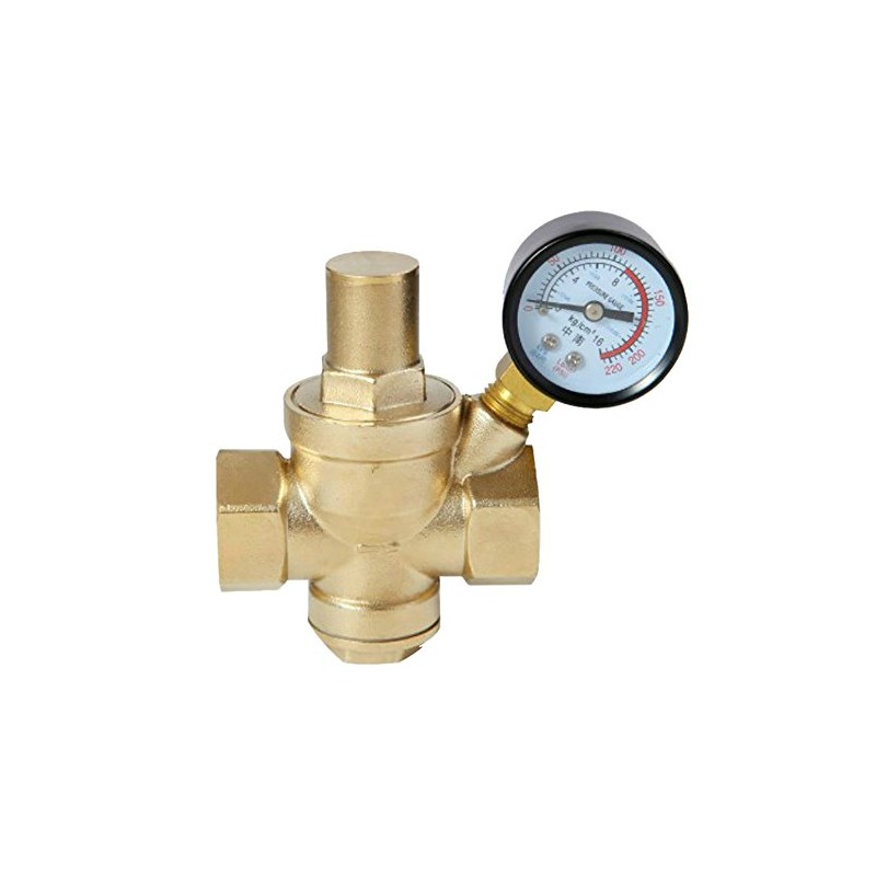 Adjustable Water Pressure Regulator Valve Water Pressure Reducer with Gauge