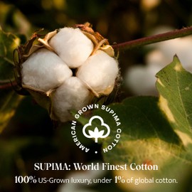 Double Stitch Supima Cotton Duvet Cover Set, 100% American Grown Cotton Duvet Cover King, Luxury 600 Thread Count Sateen Weave, Hotel Quality Bedding Set, 1 Duvet Cover 2 Shams, Winter Sky